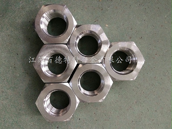 哈氏合金Hastelloy B-2螺母 
