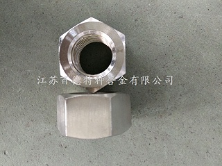 尼可尔Nickel200螺母